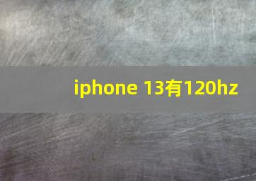 iphone 13有120hz